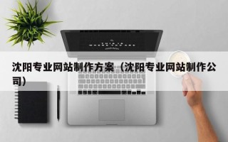 汕尾沈阳专业网站制作方案（沈阳专业网站制作公司）